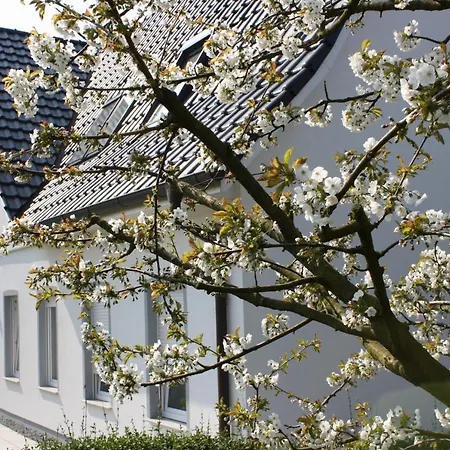 Lejlighed Elbblick Im Haus Luehegarten *