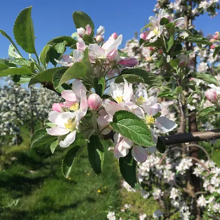 Elbblick Im Haus Luehegarten 아파트 Grünendeich