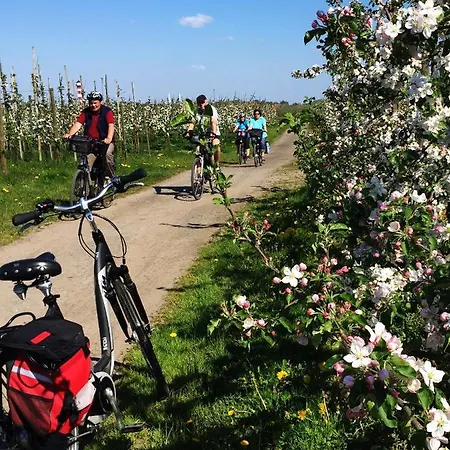 Elbblick Im Haus Luehegarten Grünendeich