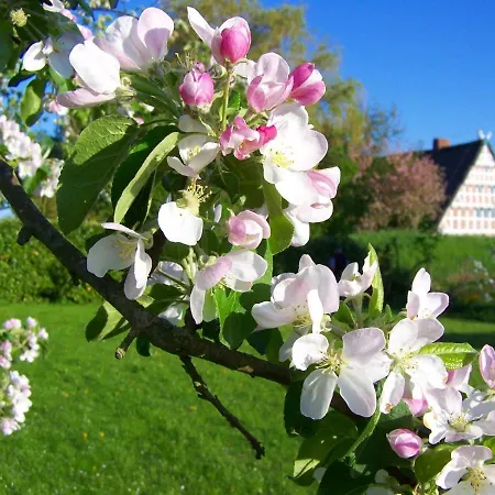 Elbblick Im Haus Luehegarten