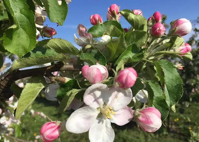 Elbblick Im Haus Luehegarten Lejlighed Grünendeich