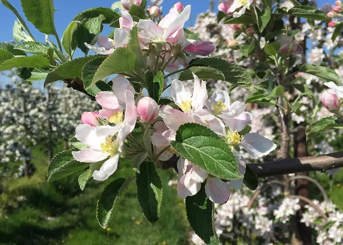 Elbblick Im Haus Luehegarten Lejlighed Grünendeich