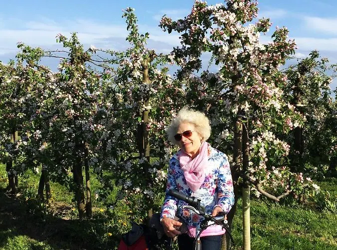 Elbblick Im Haus Luehegarten Lejlighed