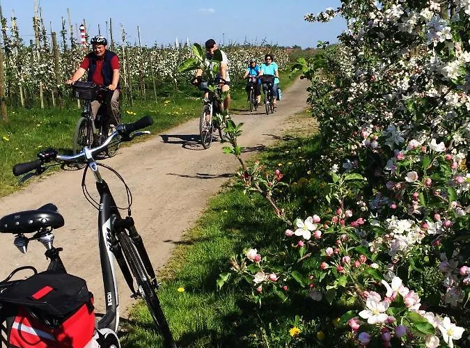 Elbblick Im Haus Luehegarten Grünendeich