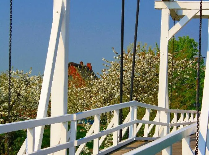 Elbblick Im Haus Luehegarten Grünendeich