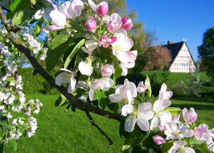 Elbblick Im Haus Luehegarten